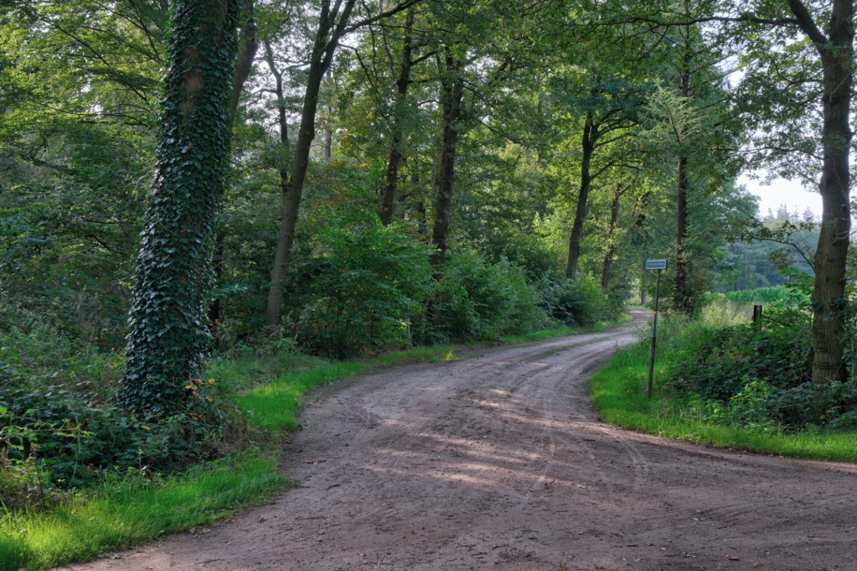 Te koop: Foto Woonhuis aan de Oude Bocholtsebaan 6 in Winterswijk Woold