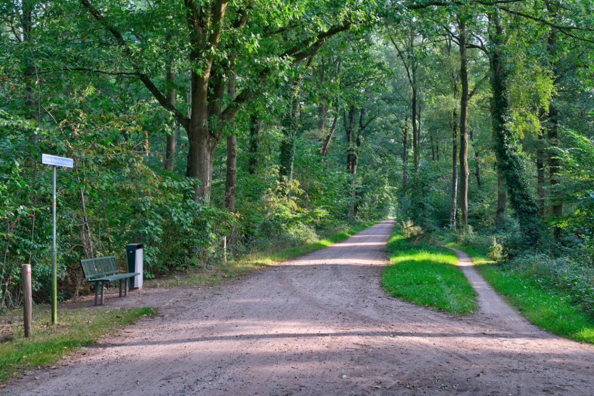 Te koop: Foto Woonhuis aan de Oude Bocholtsebaan 6 in Winterswijk Woold
