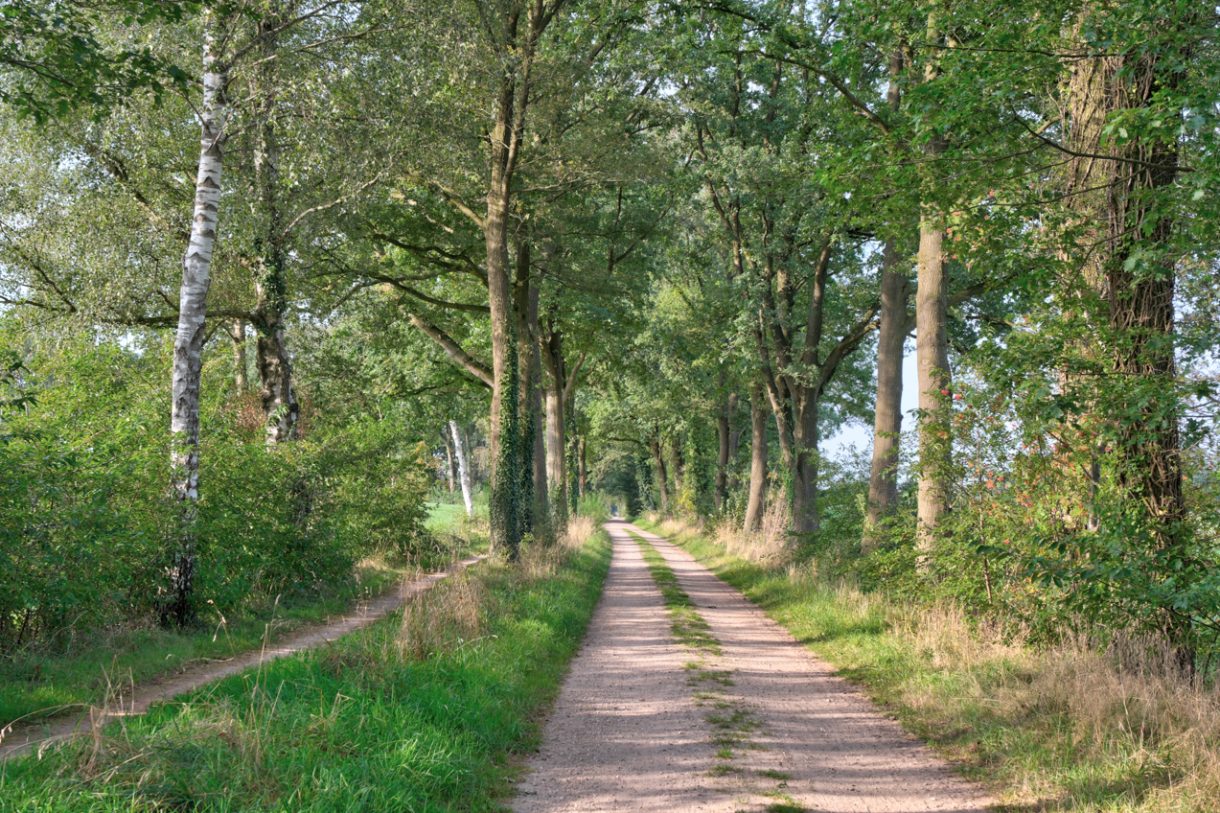 Te koop: Foto Woonhuis aan de Oude Bocholtsebaan 6 in Winterswijk Woold