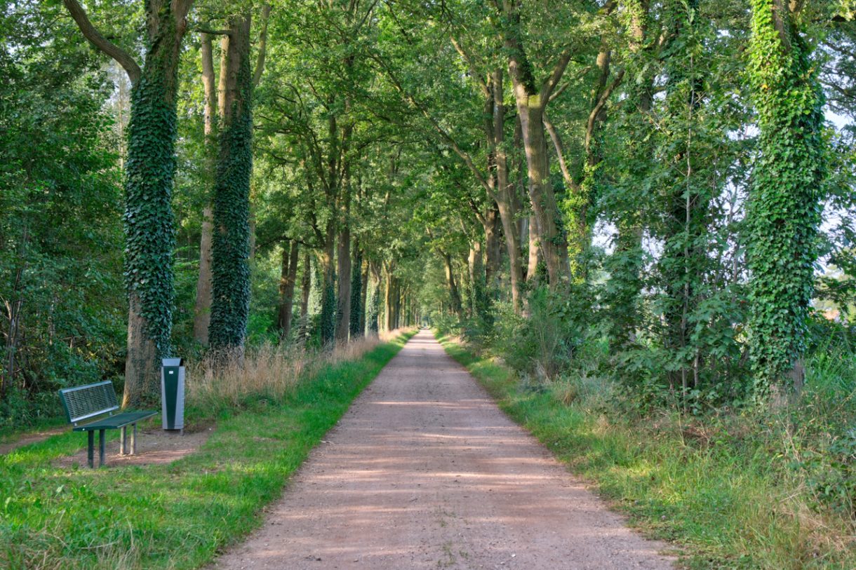 Te koop: Foto Woonhuis aan de Oude Bocholtsebaan 6 in Winterswijk Woold