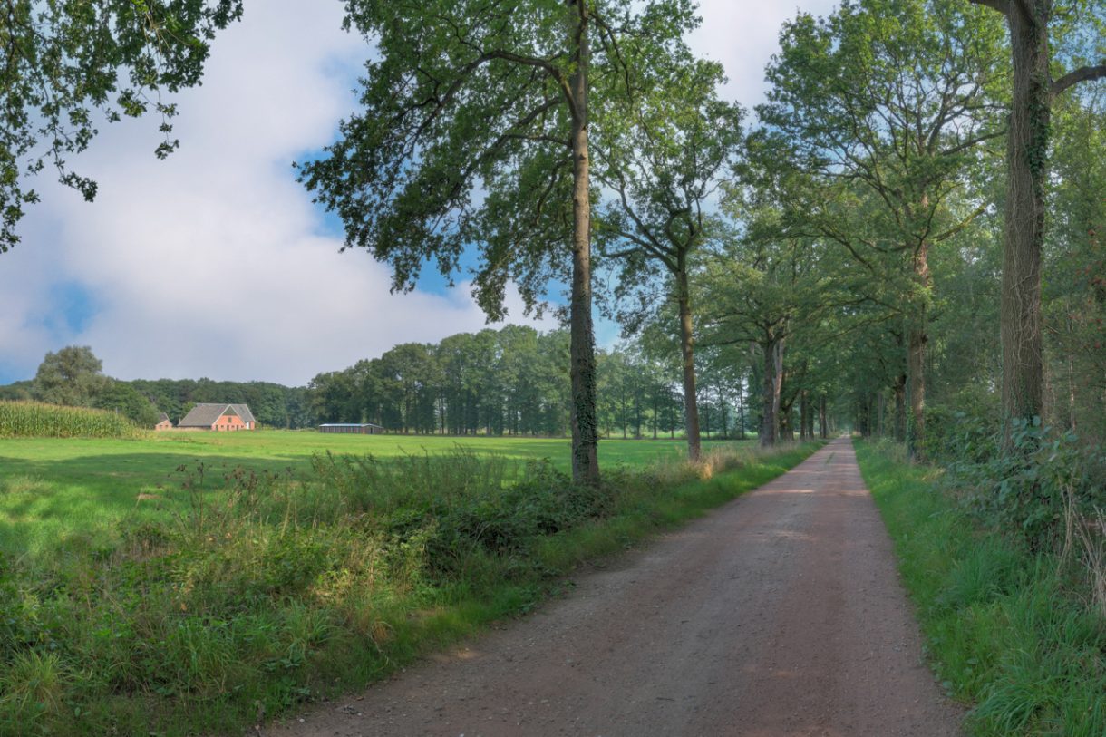 Te koop: Foto Woonhuis aan de Oude Bocholtsebaan 6 in Winterswijk Woold