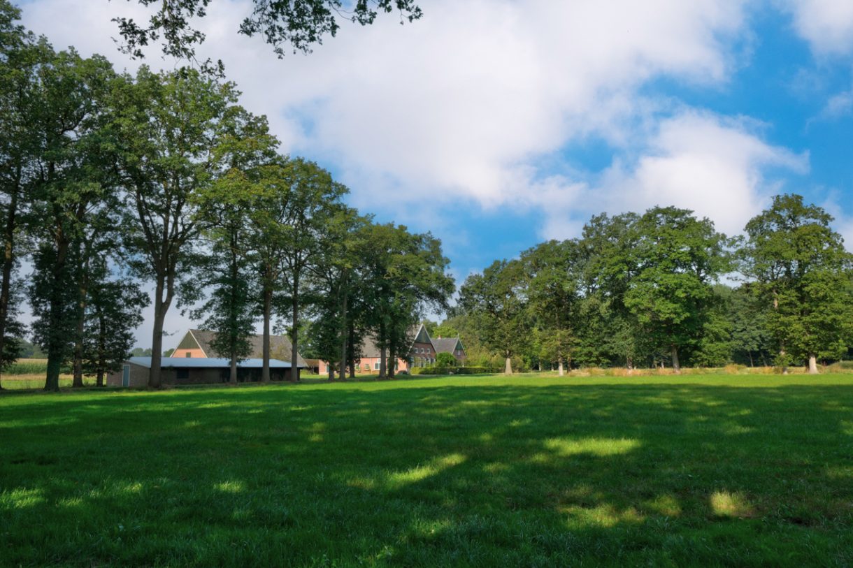 Te koop: Foto Woonhuis aan de Oude Bocholtsebaan 6 in Winterswijk Woold