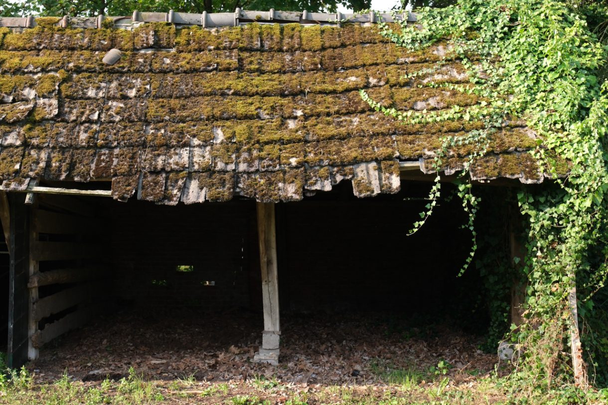 Te koop: Foto Woonhuis aan de Oude Bocholtsebaan 6 in Winterswijk Woold